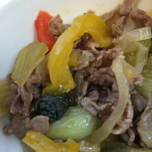 牛肉と細切り野菜の炒め物